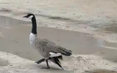 The Price of Freedom: Why Suffering Exists in a Loving World