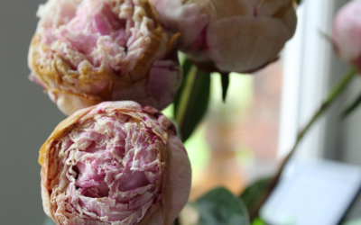 Marriage Was Never About What I Was Getting